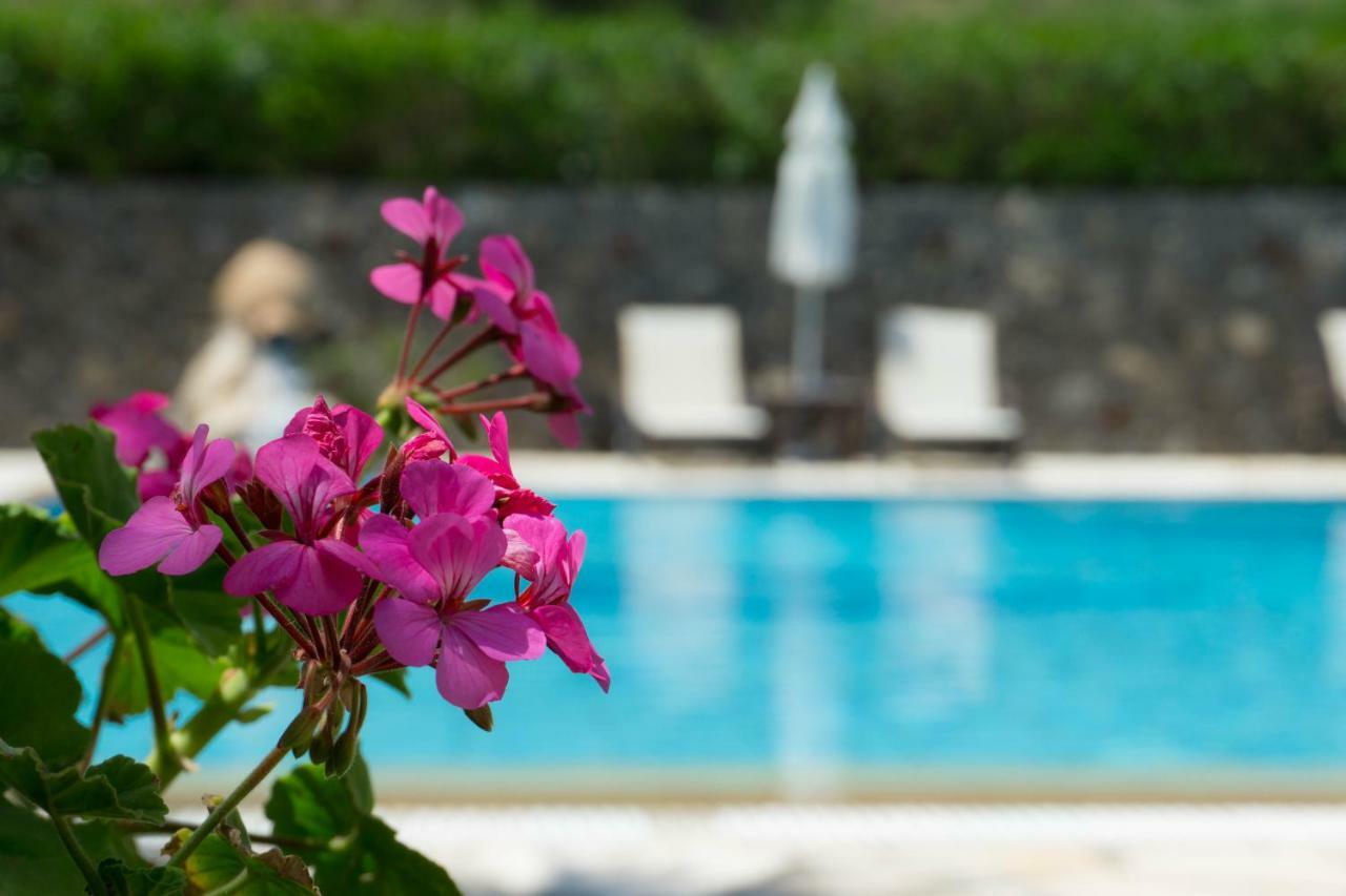 Venus Apartments Sidari  Zewnętrze zdjęcie